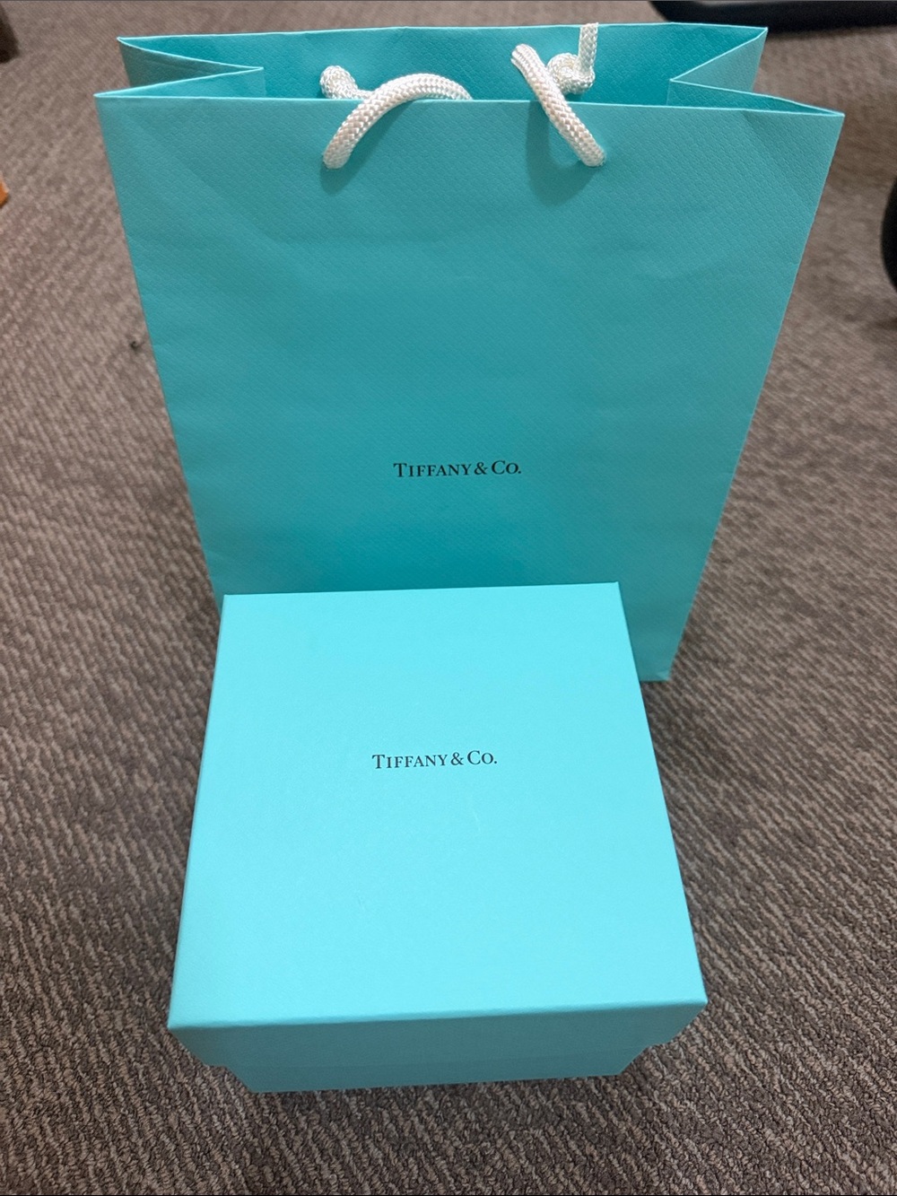Robin's Egg Blue Gift Box and Bag